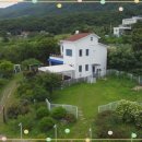 하남강아지 이미지