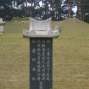 대조1리 이미지