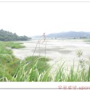 우포마을민박 이미지