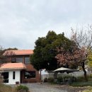 공마당맛집 이미지