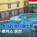 루카스병원 | 부다페스트 루카스온천 후기 Lukacs 입장료 준비물