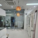 구로 역곡 고양이미용 호텔 만족스러운 ‘오늘묘해 고양이미용&호텔’ 우리집 렉돌 미용 후기
