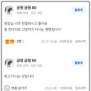 금강동물병원 네이버블로그