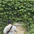 가평사계절캠핑장 이미지