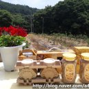 천태산농원 이미지