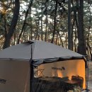 연곡약국 이미지