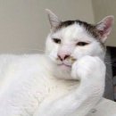 흠