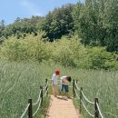 [영월·정선 여행] 영화 <왕사남> 열풍 속으로! 극과 극 체력의 1박 2일 가족 여행 코스 총정리 (프롤로그)