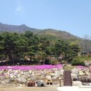 효심사(보광리) 네이버블로그