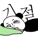 강아지 목욕탕 이미지