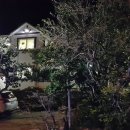 남쪽바다민박 이미지