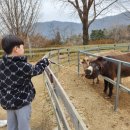 석암목장 이미지