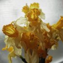 노래 소통 공감 이미지