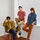 발란스9 이미지