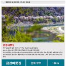 강변의 수채화 이미지