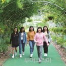 꽃나비다육