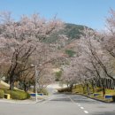 삼성산청연수소 이미지