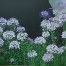 목포시립도서관 이미지