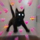 대학동-36 이미지