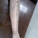 한정로2 이미지