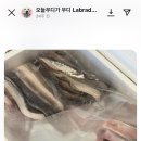 수빈횟집 이미지