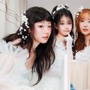 지지와이코퍼레이션