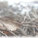 주문진호텔 이미지