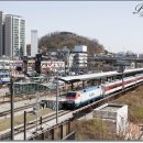 H1507 이미지