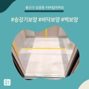 보광동 주민센터 강당 | 올보양+복도동선보양 - 용산구 보광동 리버빌아파트 승강기보양현장!!