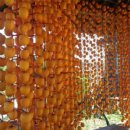 광운관광농원 이미지