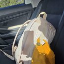 뉴욕핫도그앤커피 | 5/23 - 5/27 미국 뉴욕 여행 타미스 빅애플패스 후기