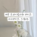 나나케이크스튜디오