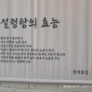 엄선서울깍두기