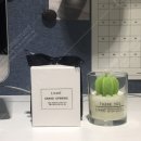 리바트네오스