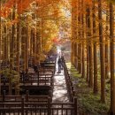 포항 가볼만한곳 베스트10 이미지