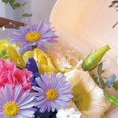 켈리플레르 이미지