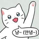 춘배 이미지