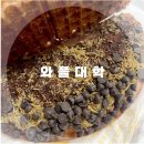 와플대학이천마장캠퍼스 | 와플대학 신메뉴 두바이초코와플 내돈내산 리얼후기 두쫀쿠 대신 두바이와플