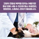 아이튼튼동물병원 이미지