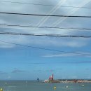 크로스핏 해 | 제주 크로스핏 바솔트 드랍인 내돈내산 후기