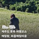 또 와흘 이미지