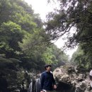 원앙수산 이미지