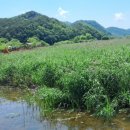 정양늪생태공원 이미지