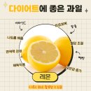 사거리과일