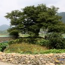 서편제 이미지