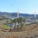 능선길 118 (1) 이미지