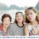 일성여행사 이미지