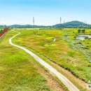 대부맛집청미 | 대부맛집 청미 바고찌찌개(바지락고추장찌개)-전현무계획