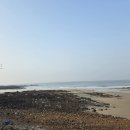 청춘바다 네이버블로그