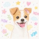 설이네 펫푸드 | 5/26 ~ 5/31